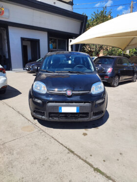 
									Fiat Panda EasyPower 1.2 69CV (71Kw) 2024 KM0 full								